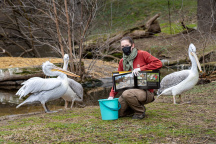 Zoo Praha