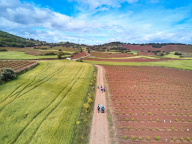 Camino na kolečkách