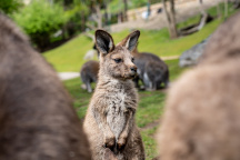 Zoo Praha