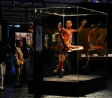 Body Worlds