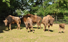 Zoo Praha