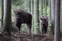 Zoo Tábor