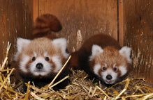 Zoo Praha