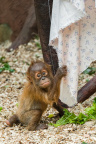 Zoo Praha