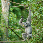 Zoo Praha