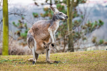 Zoo Praha