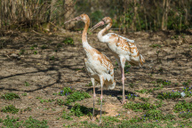 Zoo Praha