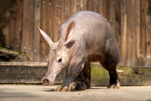 Zoo Praha