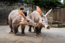 Zoo Praha