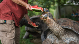 Zoo Praha