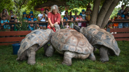 Zoo Praha