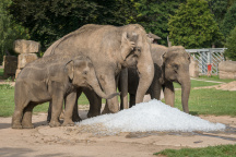 Zoo Praha