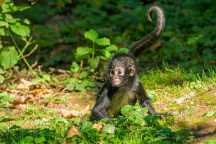 Zoo Praha