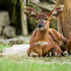 ZOO Praha