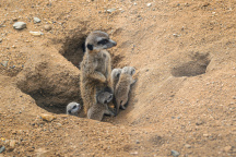 ZOO Praha