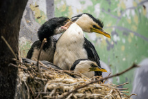 ZOO Praha