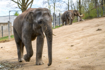 Zoo Praha