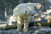 Zoo Praha