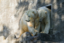 Zoo Praha