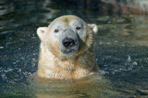 Zoo Praha