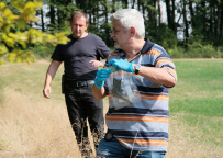 Odznak Vysočina