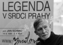 Jan Schmid, Studio Ypsilon