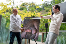 Zoo Praha, vombat