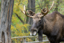 Zoo Praha