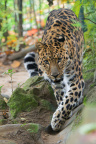 Zoo Praha