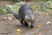Zoo Praha