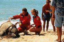 Baywatch
