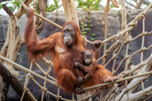Zoo Praha