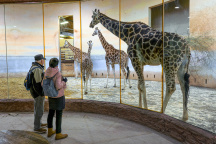 Zoo Praha