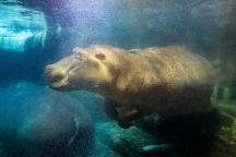 Zoo Praha