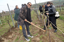 Hudební divadlo Karlín, Ali Amiri 