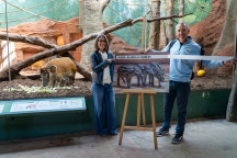Zoo Praha, štětkoun africký