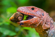Zoo Praha