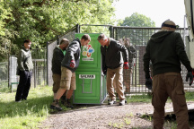 Zoo Praha, kůň Převalského