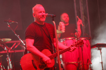 David Koller