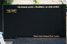 Jaromír Vomáčka, Nadace Život umělce