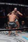 Karlos Vémola, Attila Végh