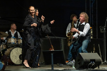 Královny Tour