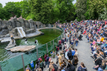 Zoo Praha, lachtan