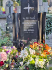 Hana Zagorová