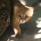 Zoo Praha