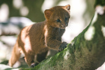 Zoo Praha
