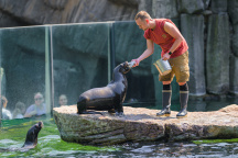 Zoo Praha 