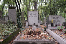Hana Krampolová