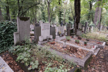 Hana Krampolová