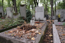 Hana Krampolová
